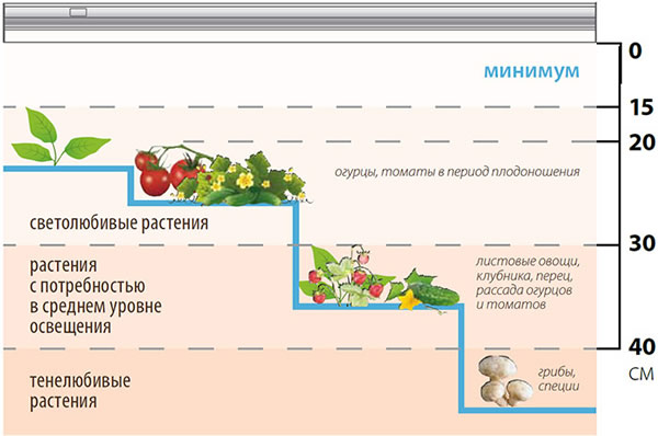 линейный led фитосветильник Uniel ULI-P33 - рекомендуемое расстояние до листьев