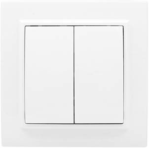 выключатель EKF ERV10-023-10 "Минск" - внешний вид