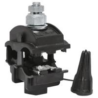 W:\img\_savinikh\22_01_2025_ken\3043822.jpg W:\img\_savinikh\22_01_2025_ken\3043822.jpg