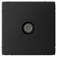 W:\img\_tkacheva\11_07_2024_ken\374819.jpg W:\img\_tkacheva\11_07_2024_ken\374819.jpg