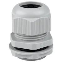 W:\img\_skobyolkina\09_10_2024_ken\970793.jpg W:\img\_skobyolkina\09_10_2024_ken\970793.jpg