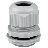 W:\img\_skobyolkina\16_09_2024_ken\089537.jpg W:\img\_skobyolkina\16_09_2024_ken\089537.jpg