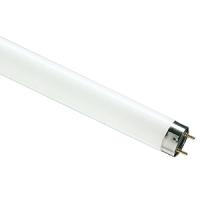 купить Лампа люм G13 Т8 18Вт 6500К 1080лм Philips в Иванове Лампа люм G13 Т8 18Вт 6500К 1080лм Philips