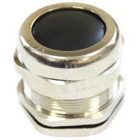 W:\img\_skobyolkina\16_09_2024_ken\921461.jpg W:\img\_skobyolkina\16_09_2024_ken\921461.jpg