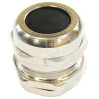 W:\img\_skobyolkina\16_09_2024_ken\056215.jpg W:\img\_skobyolkina\16_09_2024_ken\056215.jpg