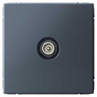 W:\img\_tkacheva\11_07_2024_ken\374758.jpg W:\img\_tkacheva\11_07_2024_ken\374758.jpg