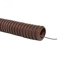 W:\img\_verzilova\19_07_2019_ken\915104_b.jpg W:\img\_verzilova\19_07_2019_ken\915104_b.jpg