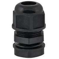 W:\img\_skobyolkina\16_09_2024_ken\089558.jpg W:\img\_skobyolkina\16_09_2024_ken\089558.jpg