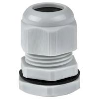 W:\img\_skobyolkina\16_09_2024_ken\089533.jpg W:\img\_skobyolkina\16_09_2024_ken\089533.jpg