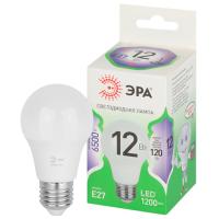Лампа свд 220В Е27 12Вт 6500К 1200лм стандарт A60 матовая ЭРА Green Line