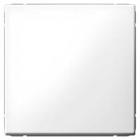 W:\img\_tkacheva\15_07_2024_ken\374902.jpg W:\img\_tkacheva\15_07_2024_ken\374902.jpg