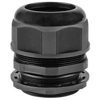 W:\img\_skobyolkina\16_09_2024_ken\921145.jpg W:\img\_skobyolkina\16_09_2024_ken\921145.jpg