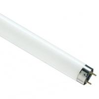 купить Лампа люм G13 Т8 30Вт 4000К 2100лм Osram  в Иванове Лампа люм G13 Т8 30Вт 4000К 2100лм Osram