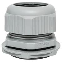 W:\img\_skobyolkina\16_09_2024_ken\921150.jpg W:\img\_skobyolkina\16_09_2024_ken\921150.jpg