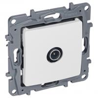 W:\img\_tkacheva\17_10_2024_ken\415470.jpg W:\img\_tkacheva\17_10_2024_ken\415470.jpg