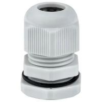 W:\img\_skobyolkina\16_09_2024_ken\089563.jpg W:\img\_skobyolkina\16_09_2024_ken\089563.jpg