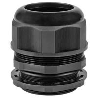 W:\img\_skobyolkina\16_09_2024_ken\089562.jpg W:\img\_skobyolkina\16_09_2024_ken\089562.jpg