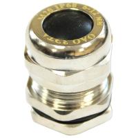 W:\img\_skobyolkina\16_09_2024_ken\355562.jpg W:\img\_skobyolkina\16_09_2024_ken\355562.jpg