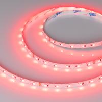 купить Лента свд 24В 8Вт/м 60свд/м RGB 288лм/м 2835 IP20 Arlight  в Иванове Лента свд 24В 8Вт/м 60свд/м RGB 288лм/м 2835 IP20 Arlight