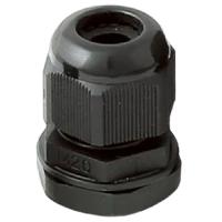 W:\img\_skobyolkina\16_09_2024_ken\921228.jpg W:\img\_skobyolkina\16_09_2024_ken\921228.jpg