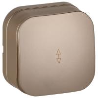 купить Глори шампань переключатель 1кл открытая 10А IP20  в Иванове Глори шампань переключатель 1кл открытая 10А IP20