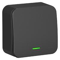 купить Бланка выключатель открытая антрацит 1кл 10А с подсветкой IP20  в Иванове Бланка выключатель открытая антрацит 1кл 10А с подсветкой IP20