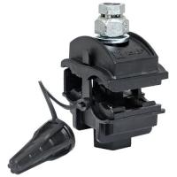 W:\img\_savinikh\22_01_2025_ken\3043013.jpg W:\img\_savinikh\22_01_2025_ken\3043013.jpg