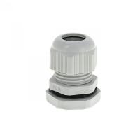 W:\img\_skobyolkina\09_10_2024_ken\970794.jpg W:\img\_skobyolkina\09_10_2024_ken\970794.jpg