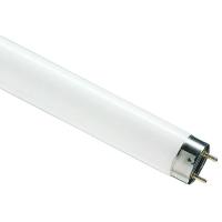 купить Лампа люм G13 Т8 58Вт 6500К 5000лм Osram  в Иванове Лампа люм G13 Т8 58Вт 6500К 5000лм Osram