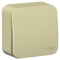 купить Бланка бежевый выключатель 1кл открытая 10А IP20  в Иванове Бланка бежевый выключатель 1кл открытая 10А IP20