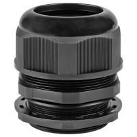 W:\img\_skobyolkina\16_09_2024_ken\098961.jpg W:\img\_skobyolkina\16_09_2024_ken\098961.jpg