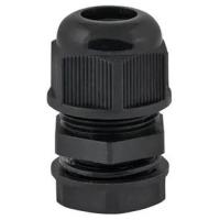 W:\img\_skobyolkina\16_09_2024_ken\089549.jpg W:\img\_skobyolkina\16_09_2024_ken\089549.jpg