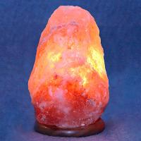 W:\img\_lukina\11_03_2021_ken\655638.jpg W:\img\_lukina\11_03_2021_ken\655638.jpg