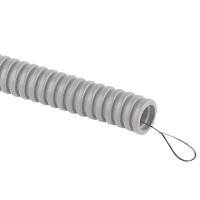 W:\img\_verzilova\14_09_2023_ken\914960.jpg W:\img\_verzilova\14_09_2023_ken\914960.jpg