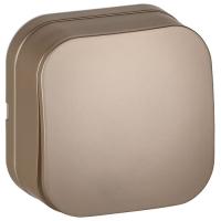 купить Глори шампань выключатель 1кл открытая 10А IP20  в Иванове Глори шампань выключатель 1кл открытая 10А IP20