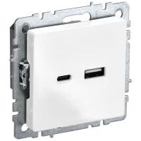 купить Брайт белый розетка USB A+C скрытая 2-ая в Иванове Брайт белый розетка USB A+C скрытая 2-ая