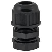 W:\img\_skobyolkina\16_09_2024_ken\089554.jpg W:\img\_skobyolkina\16_09_2024_ken\089554.jpg