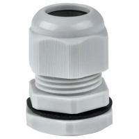 W:\img\_skobyolkina\16_09_2024_ken\089534.jpg W:\img\_skobyolkina\16_09_2024_ken\089534.jpg