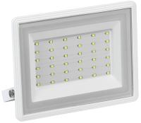 купить Прожектор LED СДО 06-50 IP65 6500K белый IEK в Иванове Прожектор LED СДО 06-50 IP65 6500K белый IEK