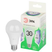 Лампа светодиодная 220В Е27 30Вт 6500К 3000лм стандарт A65 матовая ЭРА Green Line