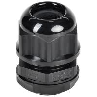 W:\img\_skobyolkina\16_09_2024_ken\921227.jpg W:\img\_skobyolkina\16_09_2024_ken\921227.jpg