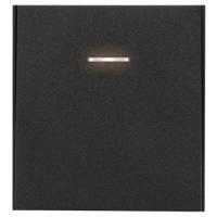 W:\img\_tkacheva\20_05_2025_ken\00-10026929.jpg W:\img\_tkacheva\20_05_2025_ken\00-10026929.jpg