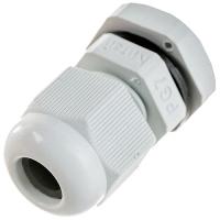 W:\img\_skobyolkina\16_09_2024_ken\921107.jpg W:\img\_skobyolkina\16_09_2024_ken\921107.jpg