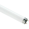Лампа люм G13 Т8 58Вт 6200К 4000лм Philips 