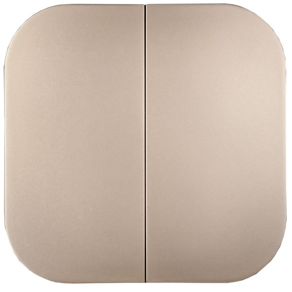 купить Глори шампань выключатель 2кл открытая 10А IP20   в Иванове Глори шампань выключатель 2кл открытая 10А IP20