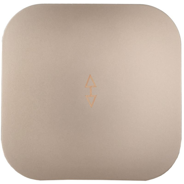 купить Глори шампань переключатель 1кл открытая 10А IP20  в Иванове Глори шампань переключатель 1кл открытая 10А IP20