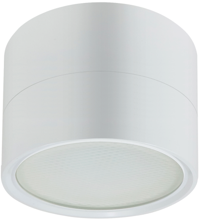 купить Светильник даунлайт 1*12Вт GX53 цилиндр белый накладной ЭРА в Иванове Светильник даунлайт 1*12Вт GX53 цилиндр белый накладной ЭРА